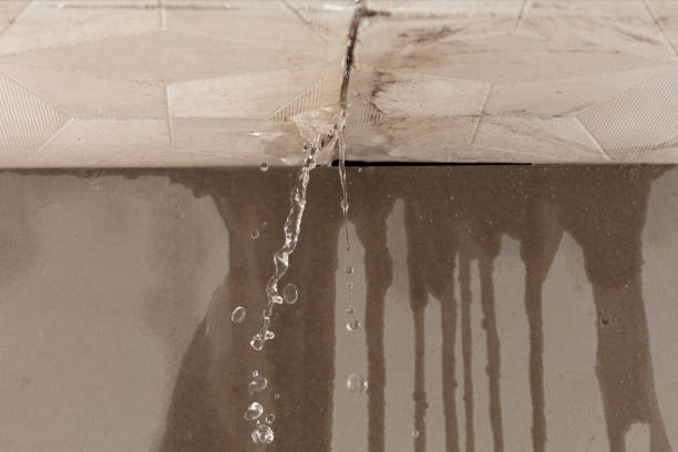 Professional Water Damage Restoration technician working in Woodbine, GA